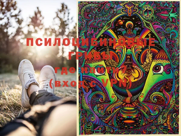 молекула духа Алзамай