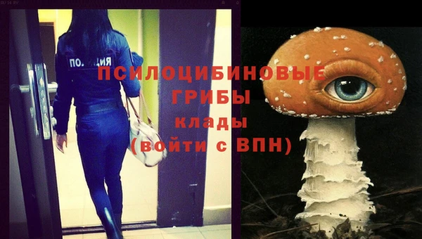 PSILOCYBIN Алексеевка