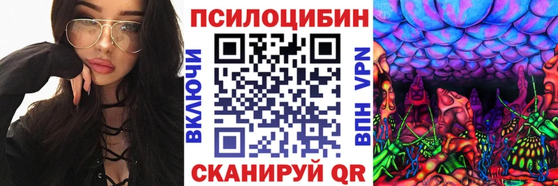 Галлюциногенные грибы MAGIC MUSHROOMS  KRAKEN ССЫЛКА  Асино 