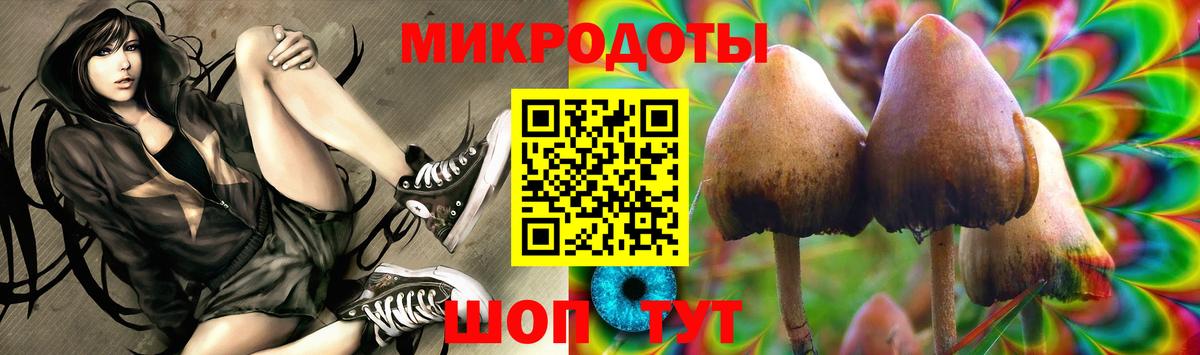 Галлюциногенные грибы прущие грибы  Асино 